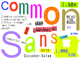 commonSans 