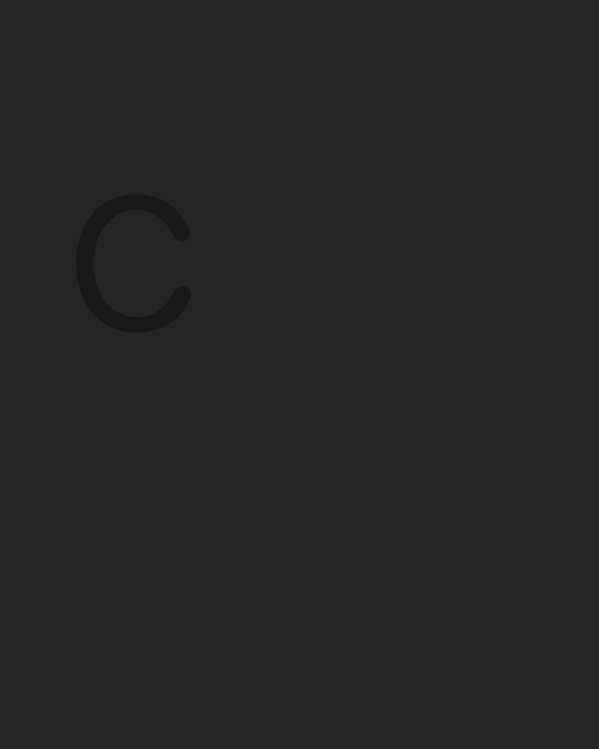 commonSans 