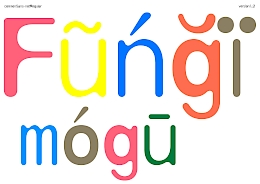 commonSans 